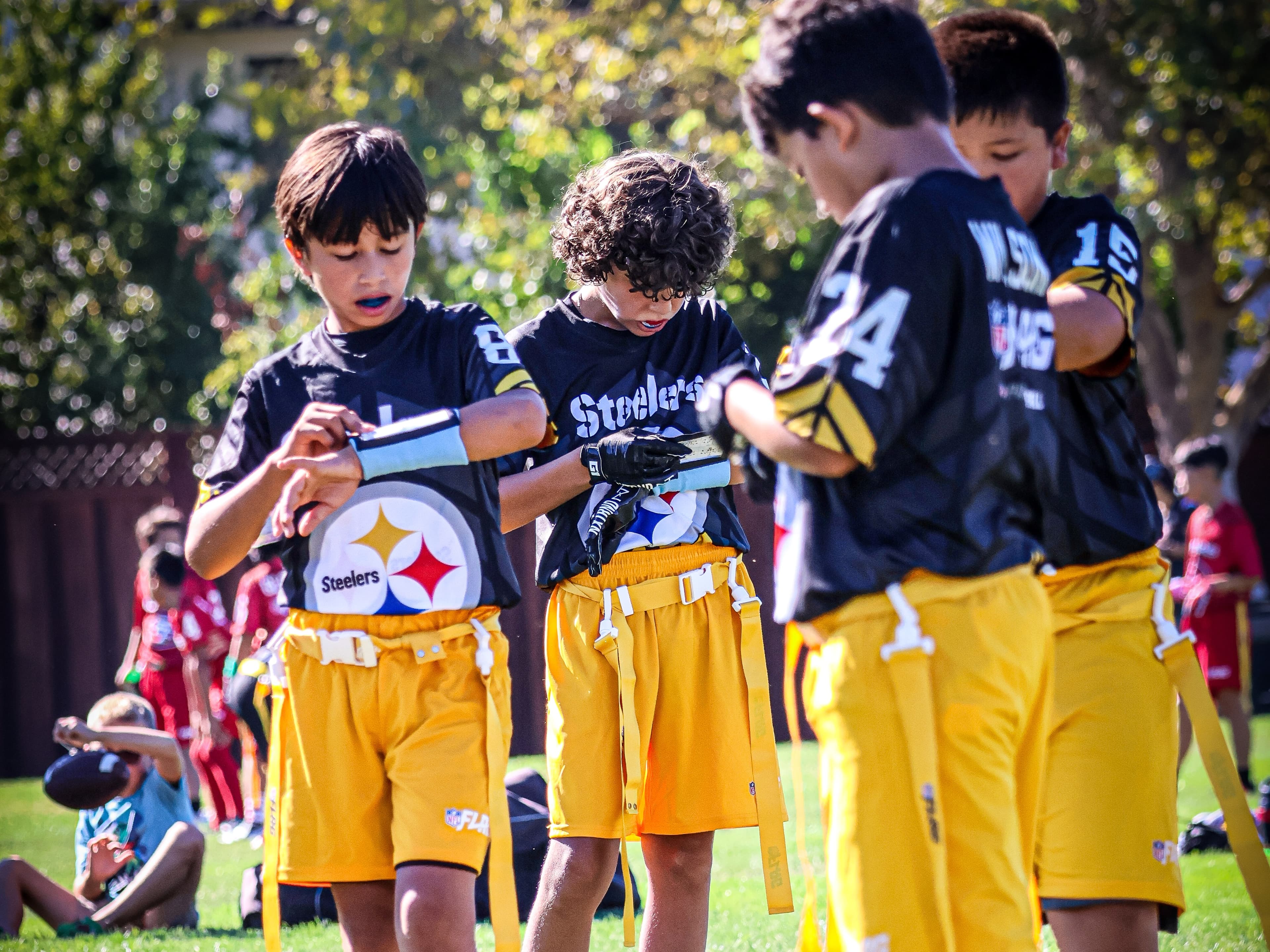 PJFL - Pleasanton Junior Football League league photo 1