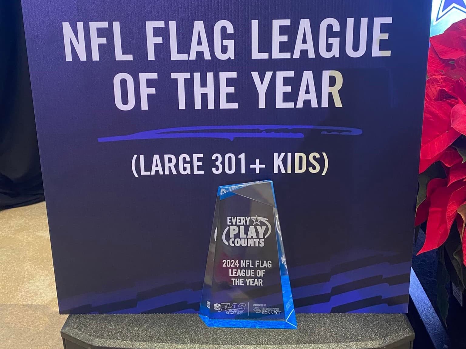 SMYFFL-Southern Maryland Youth Flag Football League league photo 1