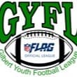 Gilbert Youth Football League league photo 3