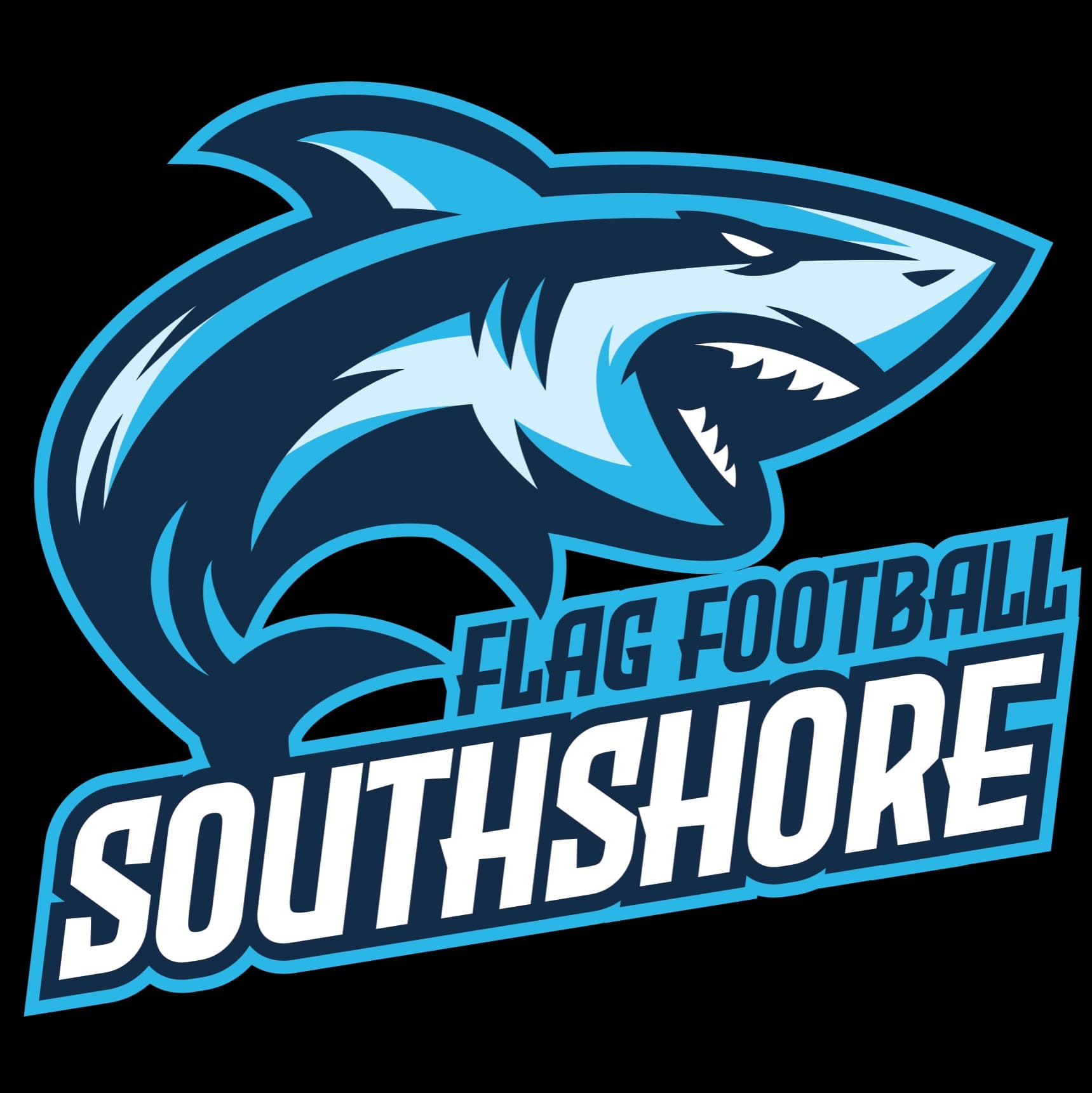 NFL Flag Football Southshore league photo
