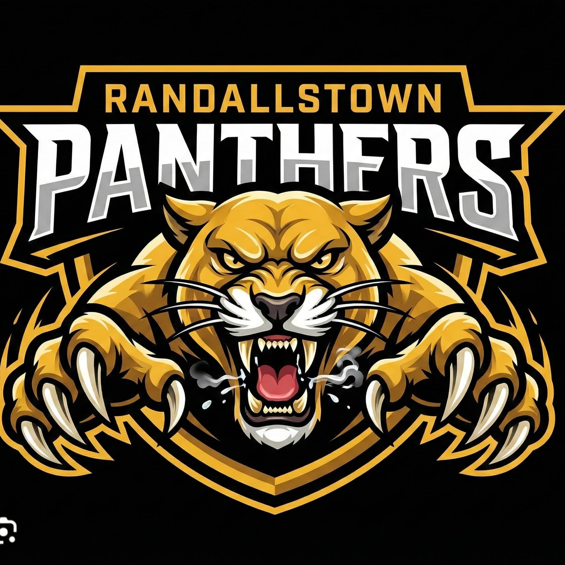 RANDALLSTOWN PANTHERS league photo
